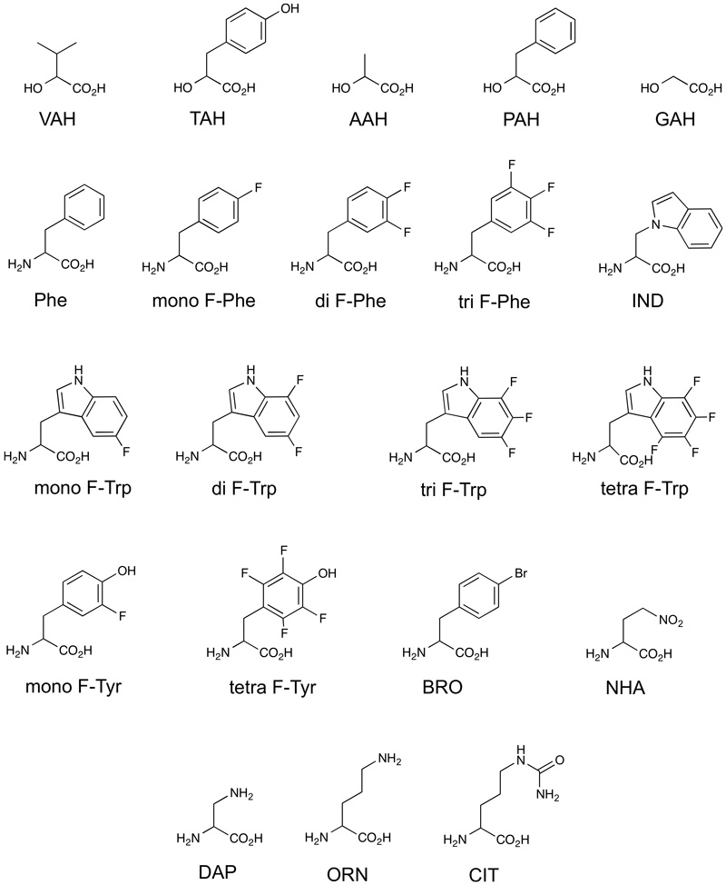 Examples of unnatural amino acids that have been synthesized and encoded through the Facility